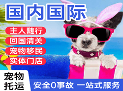 大同空运代理国际宠物托运 【国